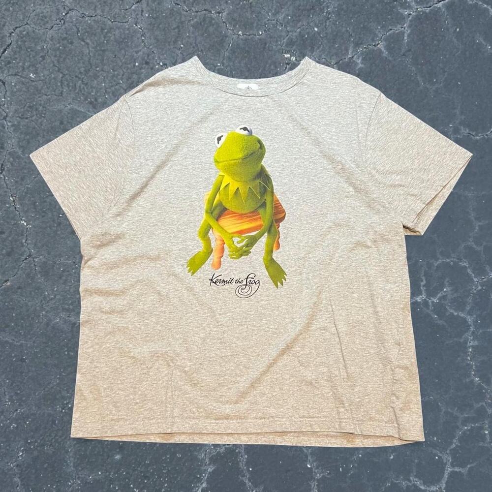 Disney kermit the frog rare